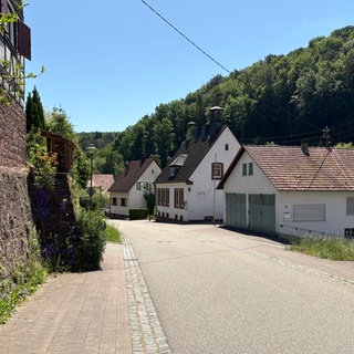 Hirschthal liegt im südlichen Pfälzerwald, kurz vor der französischen Grenze.