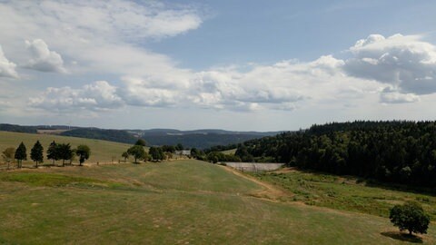 Ein Feld mit einer Staumauer. Hier war er mal, der Plattensee.