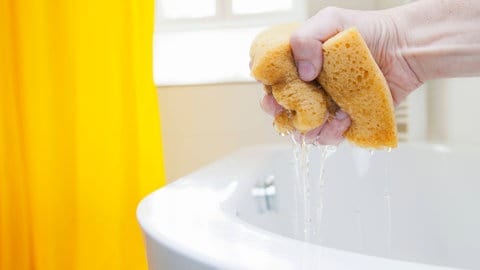 Eine Hand drückt einen nassen Schwamm aus: Wenn Schwämme und Lappen feucht sind, sind sie nicht mehr starr, sondern biegsam und elastisch. Dann kann man das Gewebe viel besser zusammendrücken