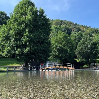Herrliche Lage, leidet aber auch unter der Hitze: das Naturerlebnisbad in Landstuhl im Kreis Kaiserslautern.