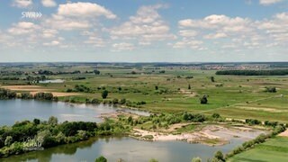 Donaumoos