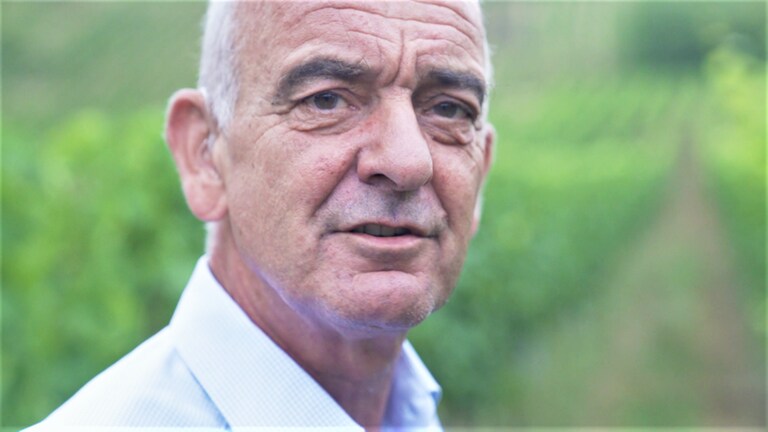 Hierzuland Filzen Winzer