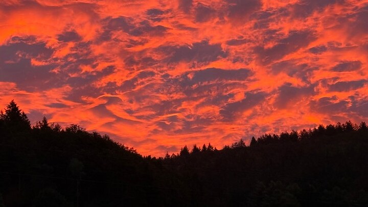 7 Uhr morgens am Montag im Steinachtal im Odenwald