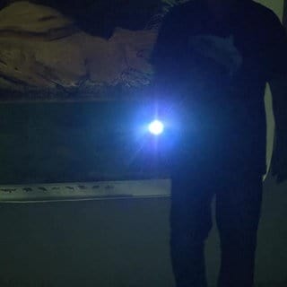 Nachts im Museum: Jagd auf ein borstiges Phantom