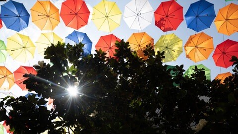 Schirme der Aktion "Umbrella Sky" hängen in der Altstadt von Mainz. Die Stadt überlegt, wie sie sich auf den Klimwandel einstellen kann