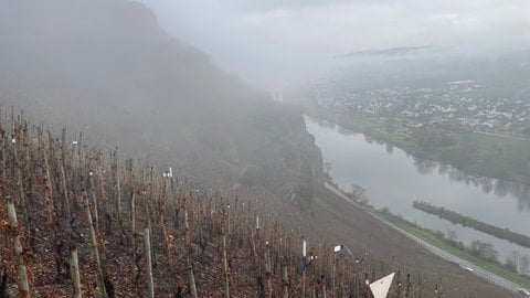 Steil und felsig sind die Weinberge am Ürzgiger Würzgarten. 