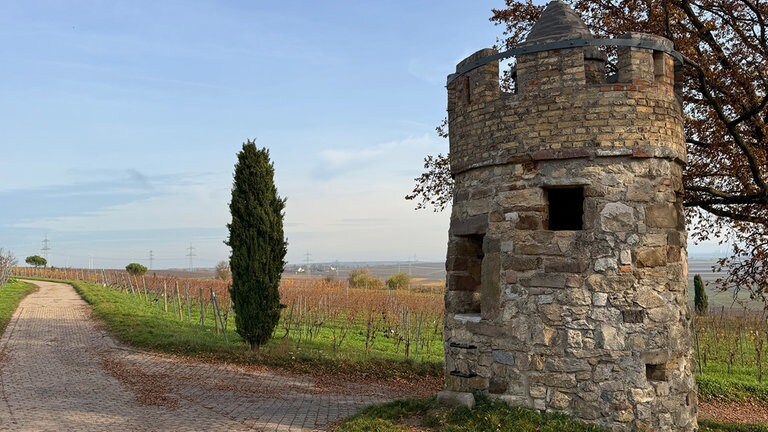 Das "Highlight" der insgesamt 14 Wingertsheisje auf der Tour: der begehbare Julius-Turm.