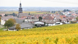Kallstadt