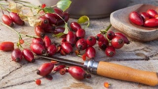 Hagebutten enthalten viel Vitamin C und lassen sich vielfältig verarbeiten.