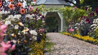 Rosengarten Zweibrücken