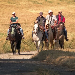 Eine Gruppe Menschen reitet auf Pferden über ein Feld