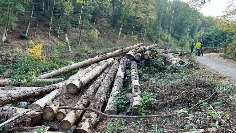 Naturschutzmaßnahmen im Moosalbtal.