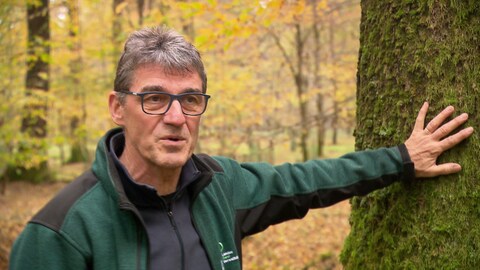 Ein Forstbeamter steht an einer Eiche im Wald bei Appenweier