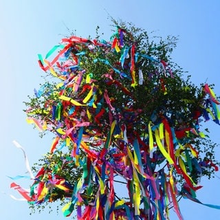Ein bunt geschmückter Maibaum (Symbolbild) - in Rederscheid wurde so einer abgesägt.