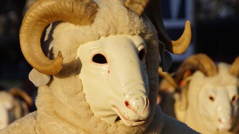 Zentrale Figur der Stettener Fasnet und der Bockzunft ist der Bockstetter Bock. Auch sie sind am Schmotzigen unterwegs.