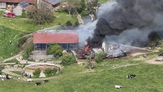 Bei dem Großbrand auf einem Hof bei Wangen im Allgäu sind mehrere Kälber gestorben. Dutzende Kühe konnten gerettet werden.