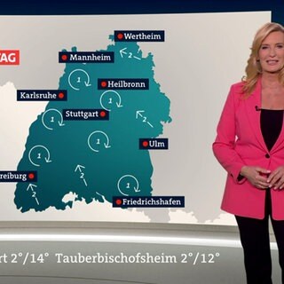 Wetterreporterin Claudia Kleinert