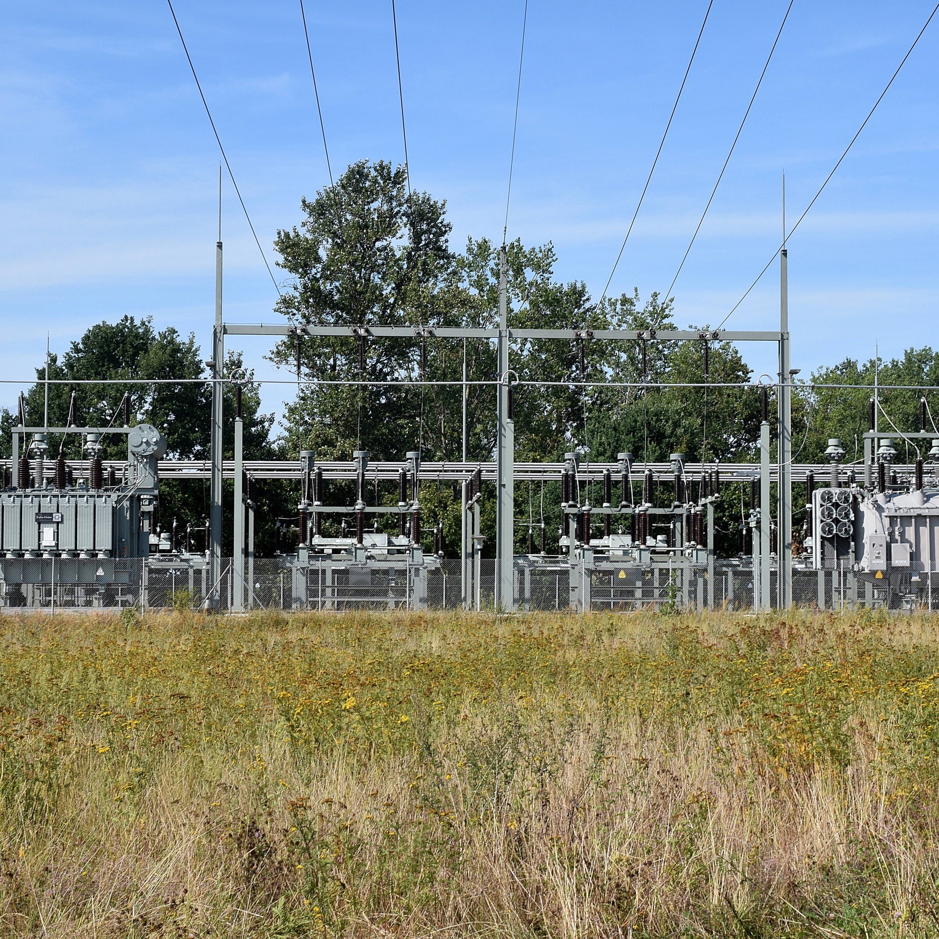 Wie die Verteilnetze fit für die Energiewende werden