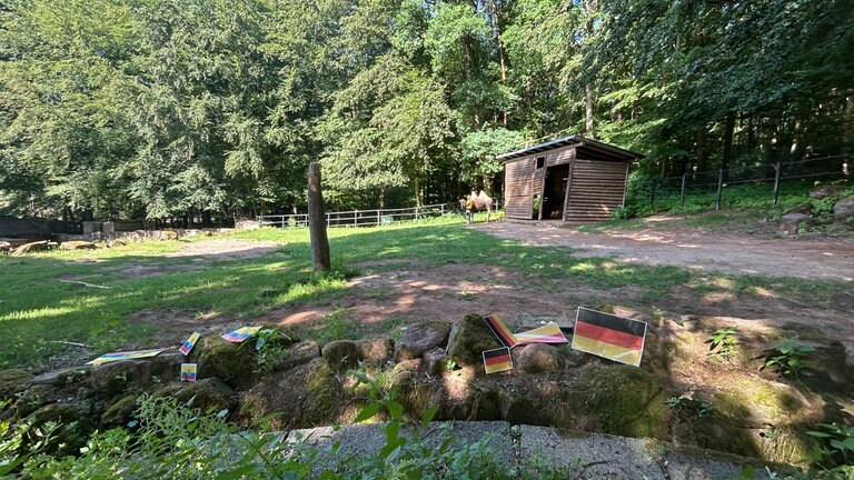 Lust auf Futter oder doch auf den nächsten Orakelspruch? Gaya ist jedenfalls voll motiviert. 
