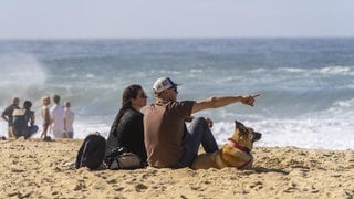 Symbolbild zum Thema Reisen mit Hund. Zwei Menschen sitzen mit ihrem Hund am Strand mit Blick aufs Meer.
