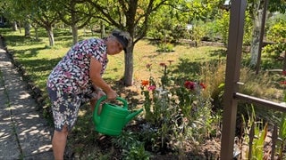 Ulrike Werner gießt Pflanzen in ihrem Schrebergarten im Reutlinger Norden. Wegen Trockenheit und Hitze versucht sie Wasser zu sparen. 