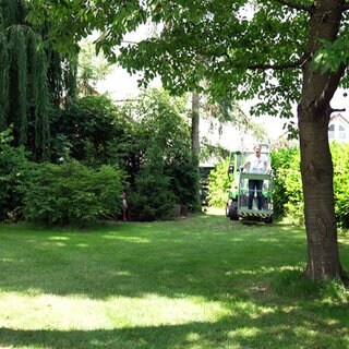 Garten mit Wiese und Bäume in Erdmannhausen