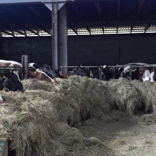Trockenheit