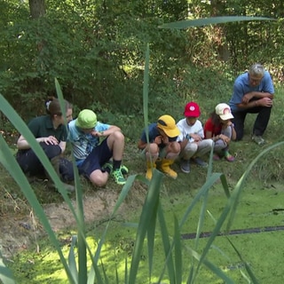 Kinder an einem Teich