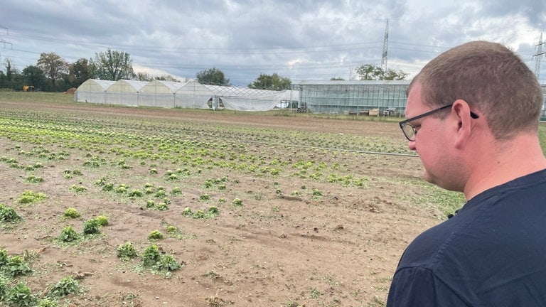 Das Unwetter am Freitagvormittag hat auch in der Landwirtschaft für immense Schäden gesorgt. "Uns hat es mit voller Bandbreite getroffen. Wir haben sowohl unsere komplette Winterernte als auch die momentane Salaternte verloren", sagt Biobauer Maximilian Schäfer aus Ingersheim (Kreis Ludwigsburg).