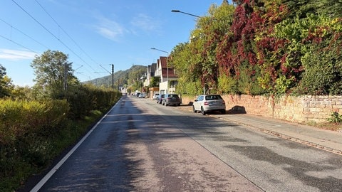 Die Bonner Straße in Trier-Pallien: Normalerweise fahren hier täglich tausende Lkw und Autos - derzeit herrscht aber Ruhe.