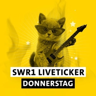 SWR1 Hitparaden-Kätzchen mit Sonnebrille, Gitarre, Sterne und dem Schriftzug "SWR1 Liveticker Donnerstag"