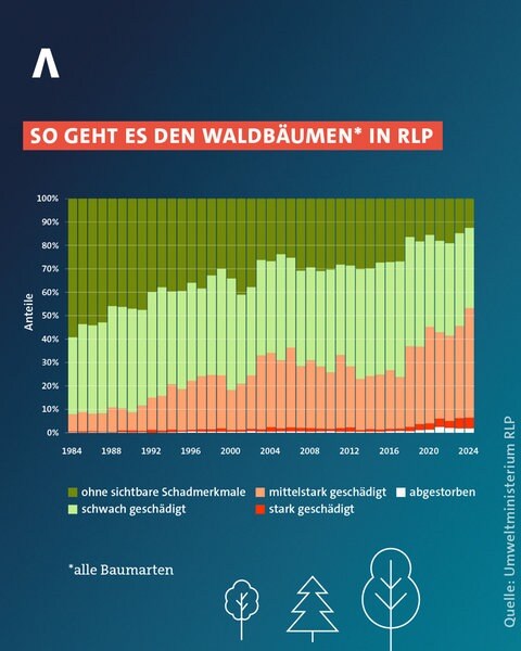 Grafik zur Schadensentwicklung an Bäumen in rheinland-pfälzischen Wäldern.