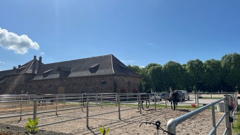 Pferde im Landgestüt in Zweibrücken.