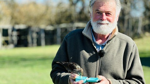 Franz Ruchlak und sein Singvogel namens Fips. Der Falkner trainiert den Singvogel in Löffingen.