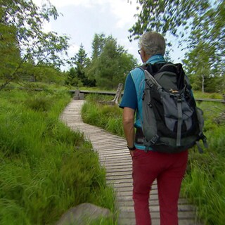 Wanderer auf dem  Lotharpfad