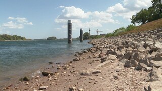 Die Pegel im Rhein zeigen historische Tiefststände an.