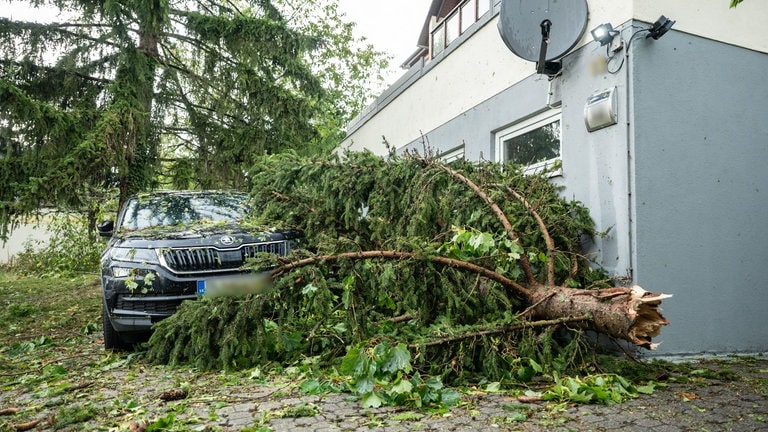 Ein Baum liegt nach schweren Unwettern im Singener Ortsteil Bohlingen im Landkreis Konstanz auf einem Auto.