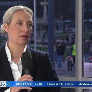 Alice Weidel, AfD