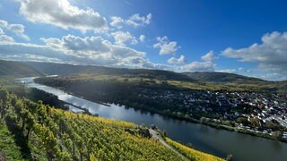 Der geplante Panorama-Moselradweg bietet eine tolle Aussicht, stößt bei Winzern und einigen Ortsbürgermeistern aber auch auf Kritik.