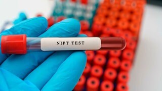 NIPT