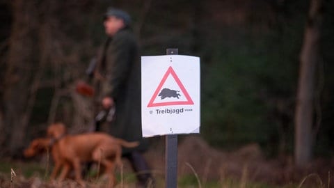 Ein Schild mit der Aufschrift "Treibjagd", im Hintergrund ein Jäger mit Hund (Symbolbild). PETA erstattete Anzeige gegen Jäger der Drückjagd in Jagsthausen. 