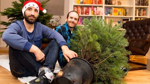 Auch eine ökologische Lösung: Lebendige Weihnachtsbäume im Topf ausleihen und ins Wohnzimmer stellen.