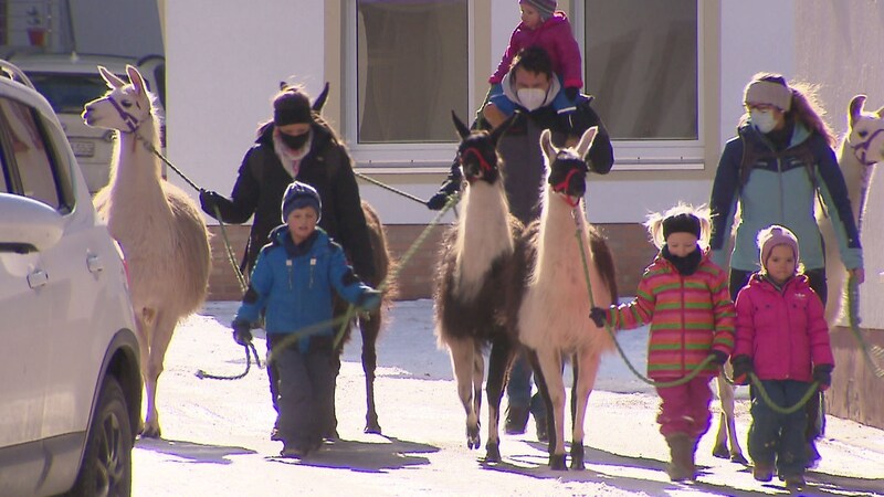 Bindersbach - Ein Spaziergang mit Lamas