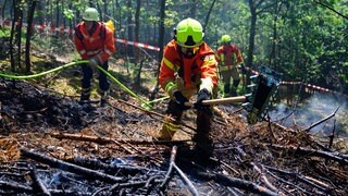 Die Feuerwehr übt für einen Waldbrand. Symbolbild. Red Farmer - ein gemeinnütziges Netzwerk - feiern Jubiläum. Landwirte helfen seit zwei Jahren, wenn Wald und Wiesen brennen, auch in Herxheim.