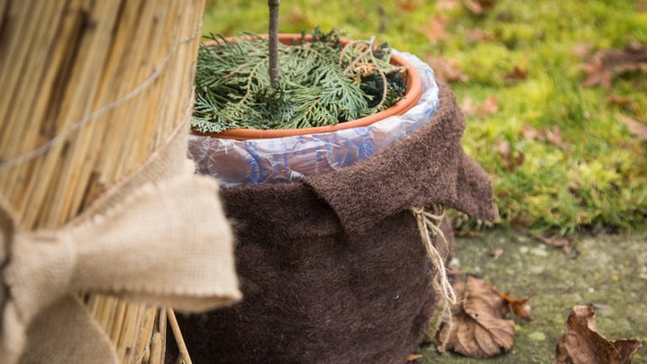 Garten winterfest machen: Tipps für Pflege und Schutz im Winter