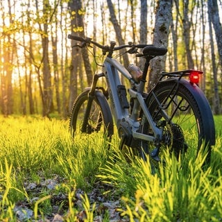 Ein E-Bike im Wald