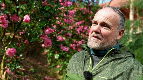 Peter Straub fühlt sich in seinem Kameliengarten wohl.