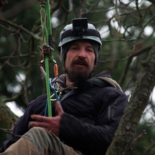 Baumpfleger Thomas Wolfromm sitzt in einem Baum. Er ist angeseilt und trägt einen Schutzhelm.