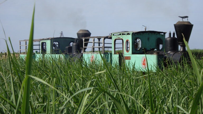 Die Holländer nutzten die Bahn, um die gefällten Baumstämme zum Teakholzlager zu transportieren. Von dort erfolgte der weitere Abtransport.