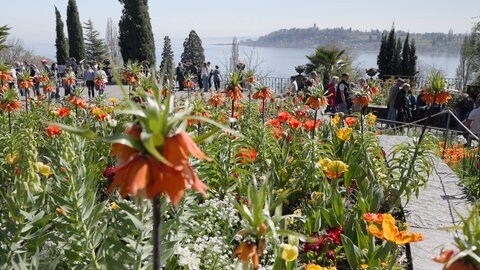 Die Blumeninsel Mainau war in den Osterferien gut besucht. Auch die anderen Tourismusbetriebe ziehen zufrieden Bilanz.